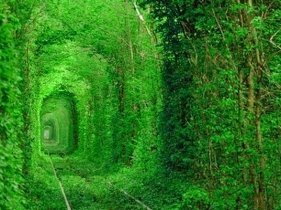 Невижимость в Невижимость в Ровно